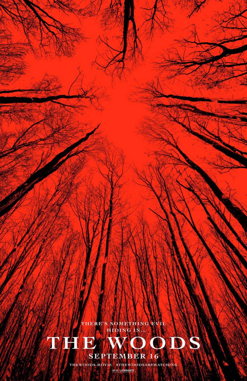 Blair Witch Poster #2