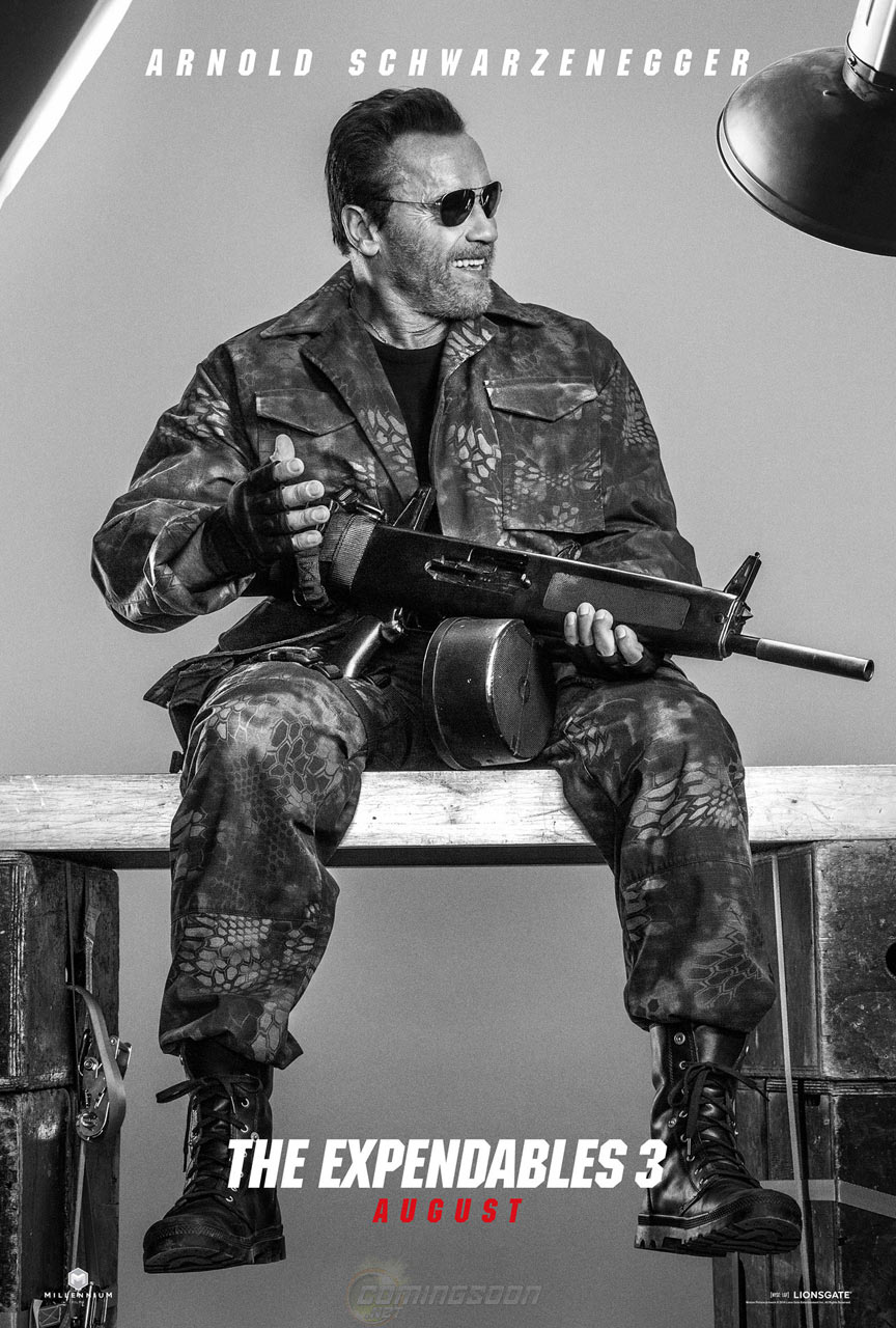 The Expendables 3 Poster #13