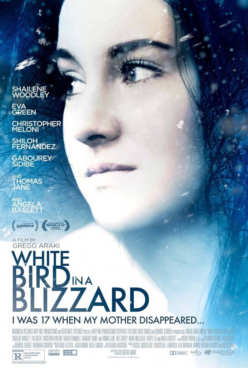 White Bird in a Blizzard Poster #1
