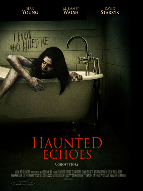 Haunted Echoes Poster #1