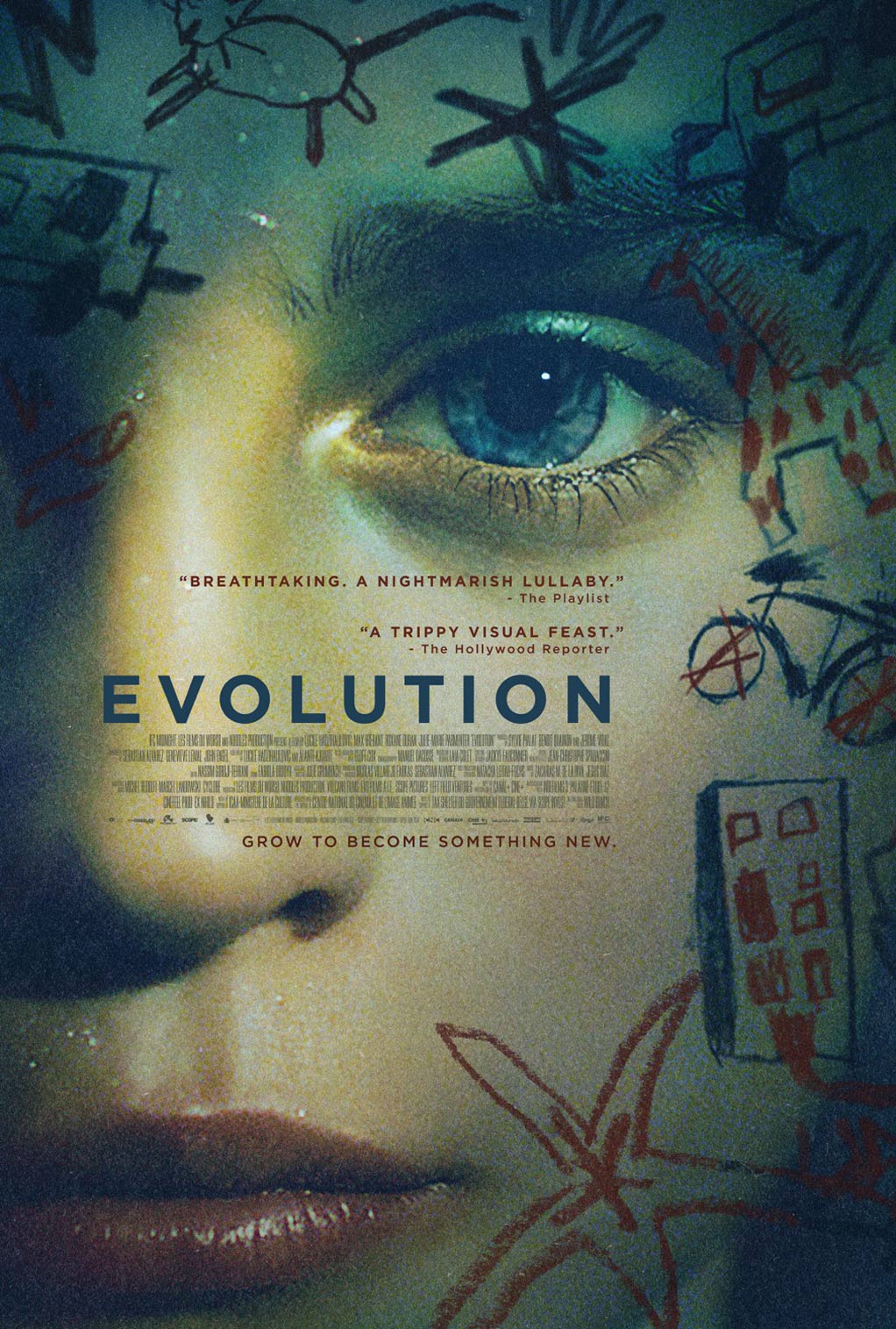 Evolution Poster #4