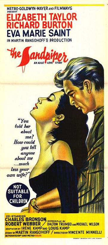 The Sandpiper Poster #2