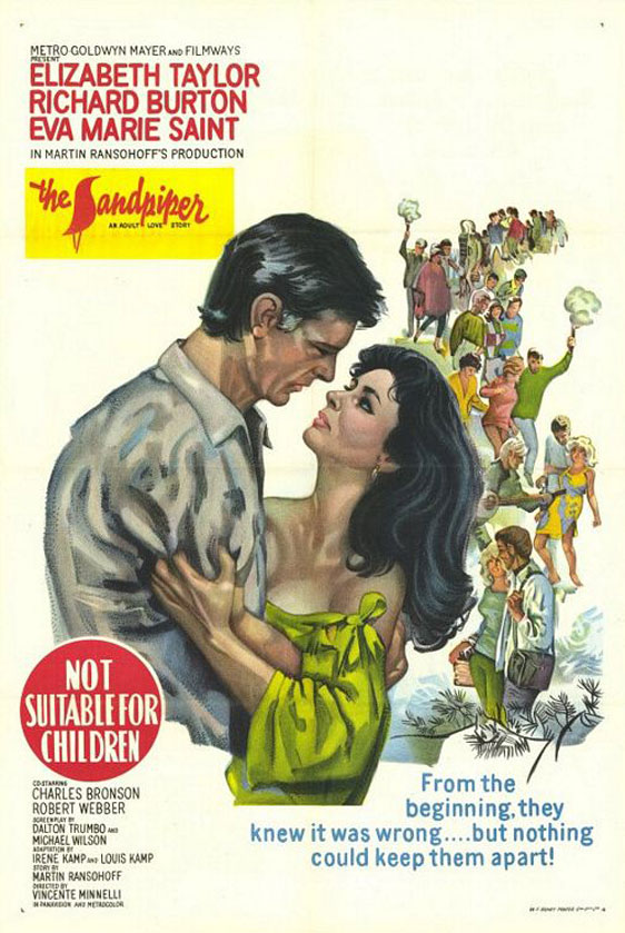 The Sandpiper Poster #1