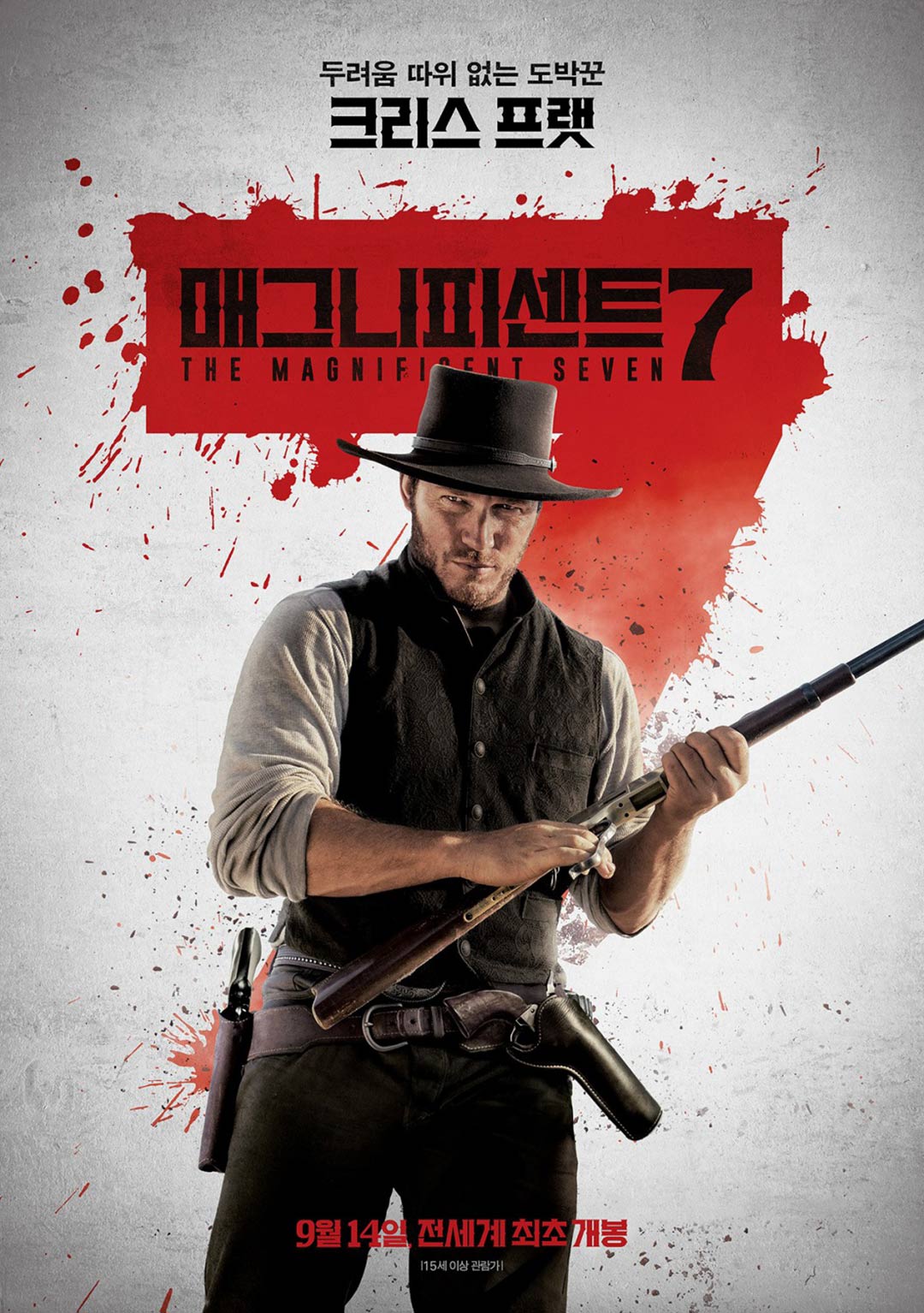The Magnificent Seven Poster #8