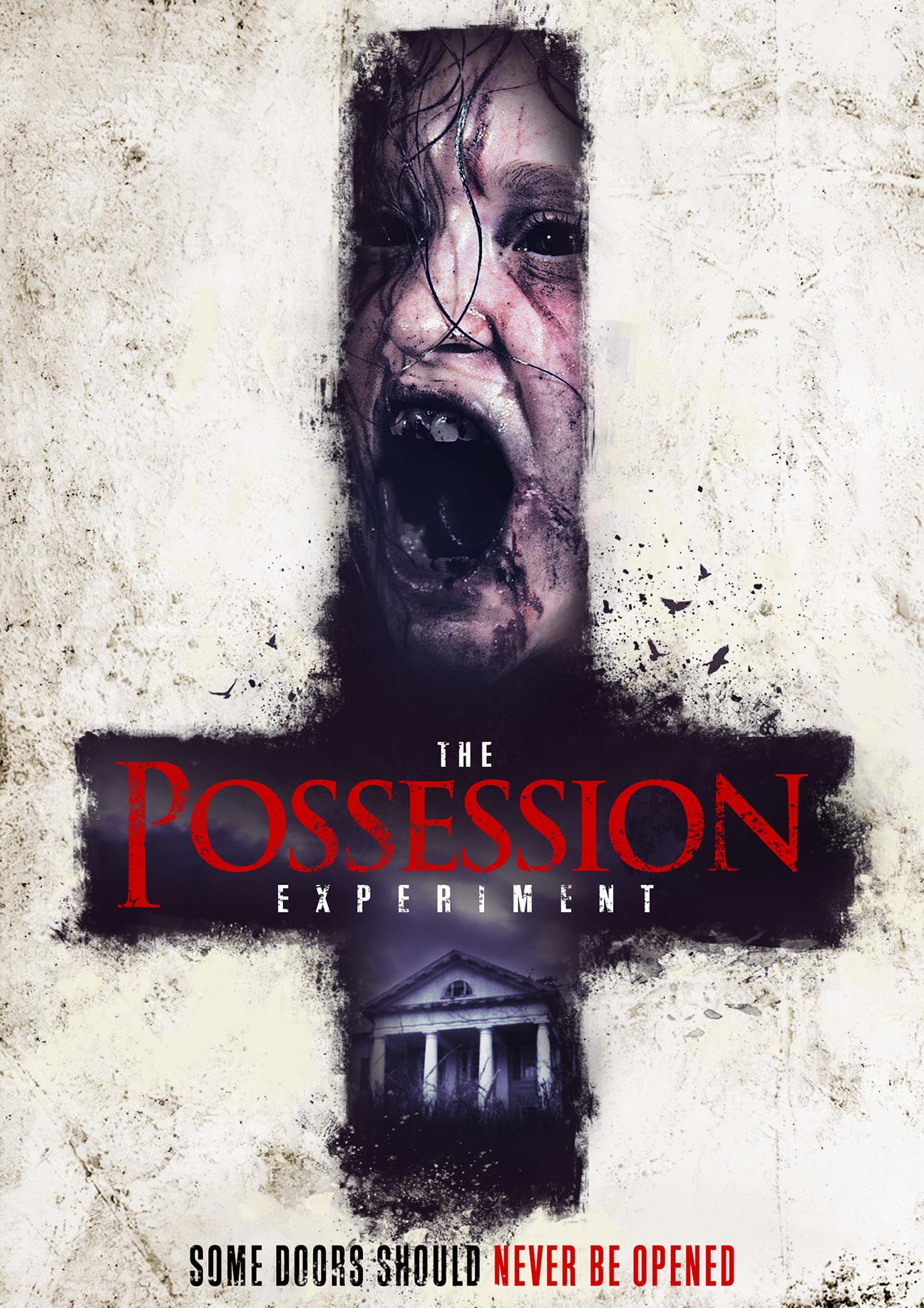 The Possession Experiment Poster #1
