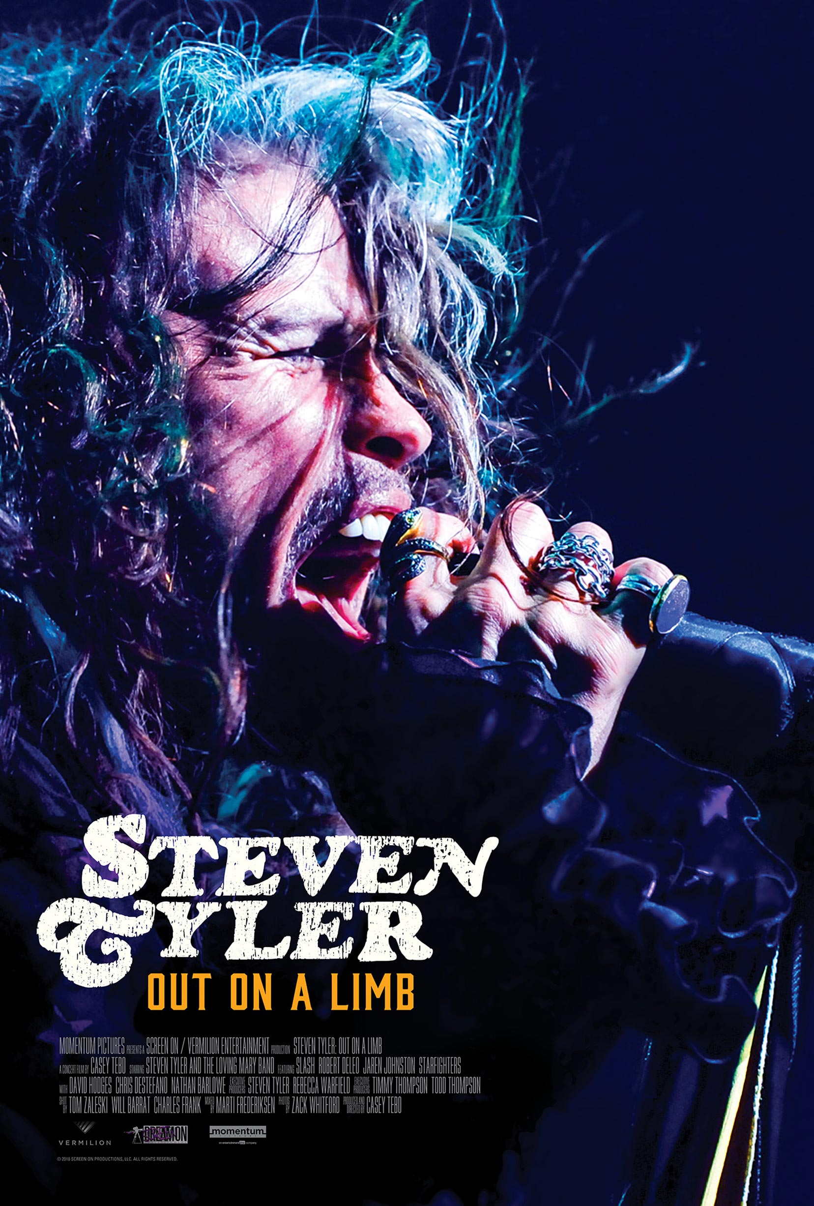 Steven Tyler: Out on a Limb Poster #1