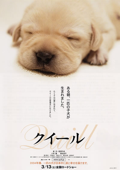 Quill Poster #1