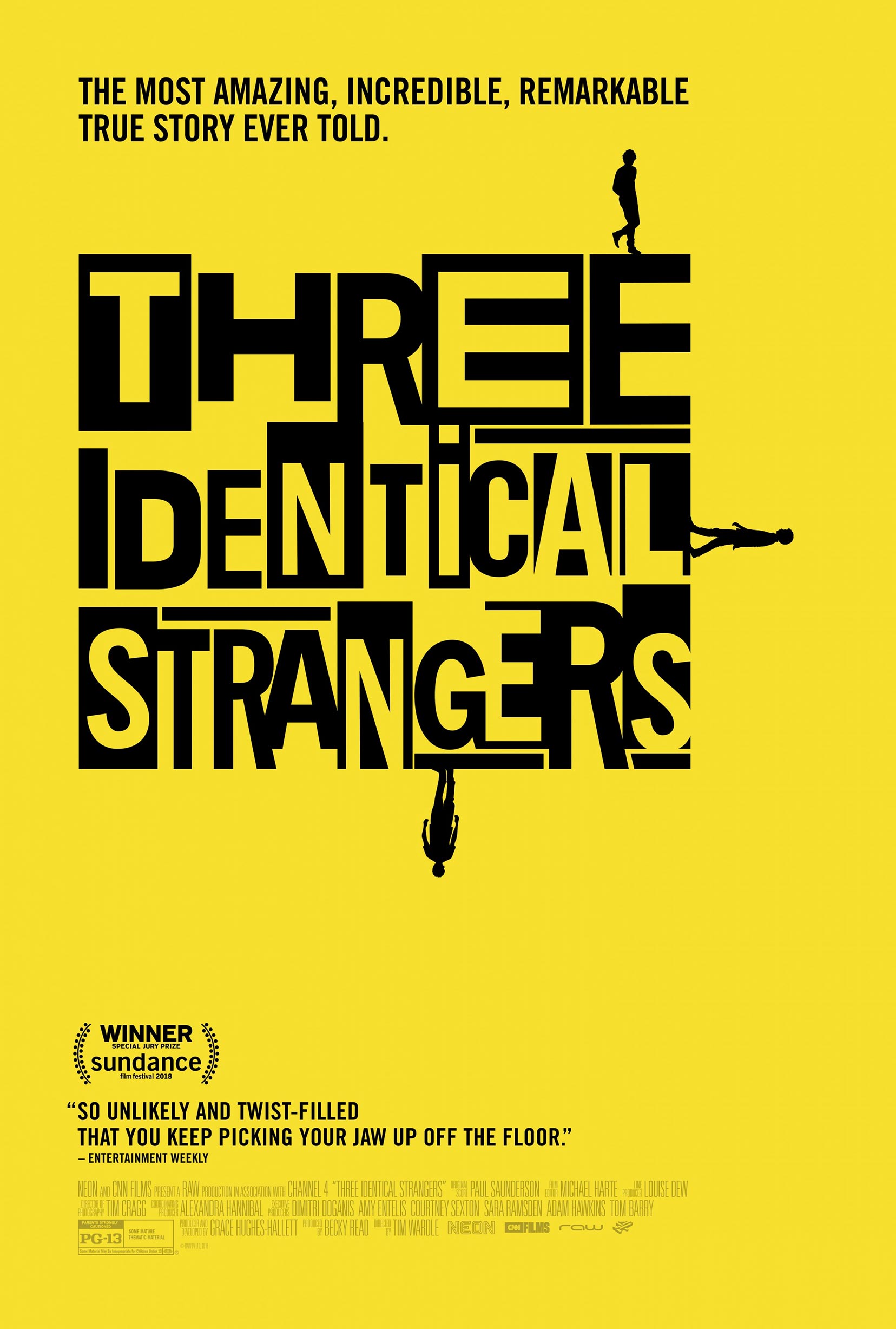 Three Identical Strangers Poster #1