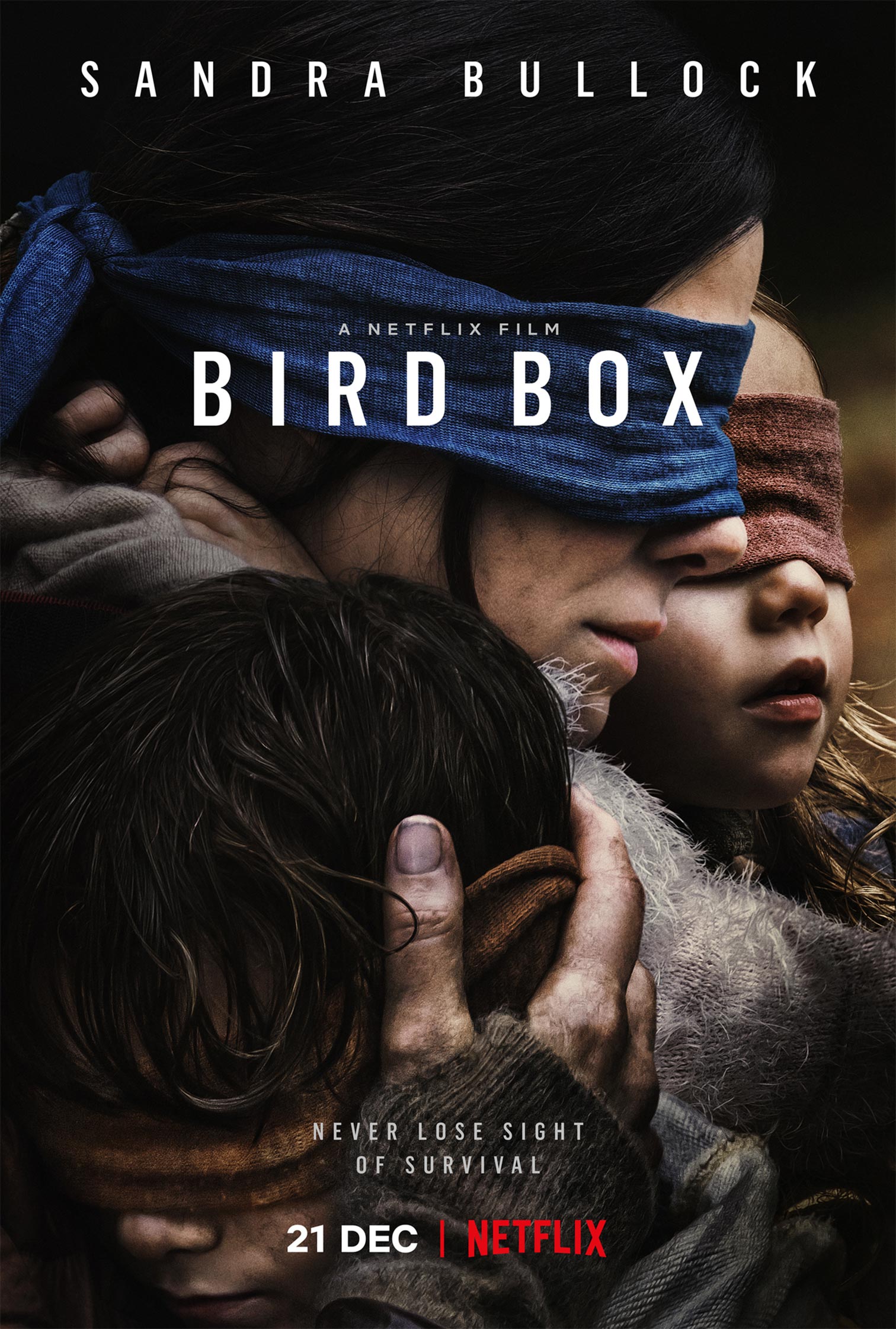 Bird Box Poster #1