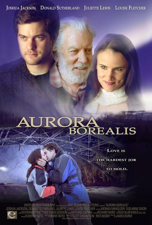 Aurora Borealis Poster #1
