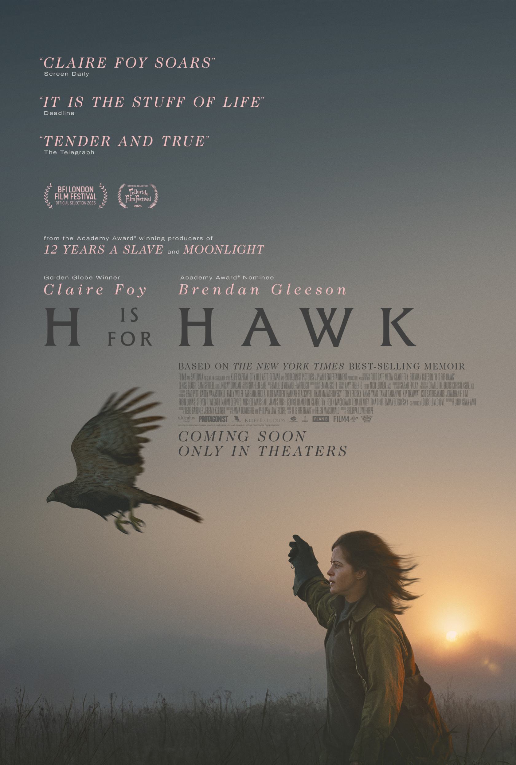 H Is For Hawk Poster #1