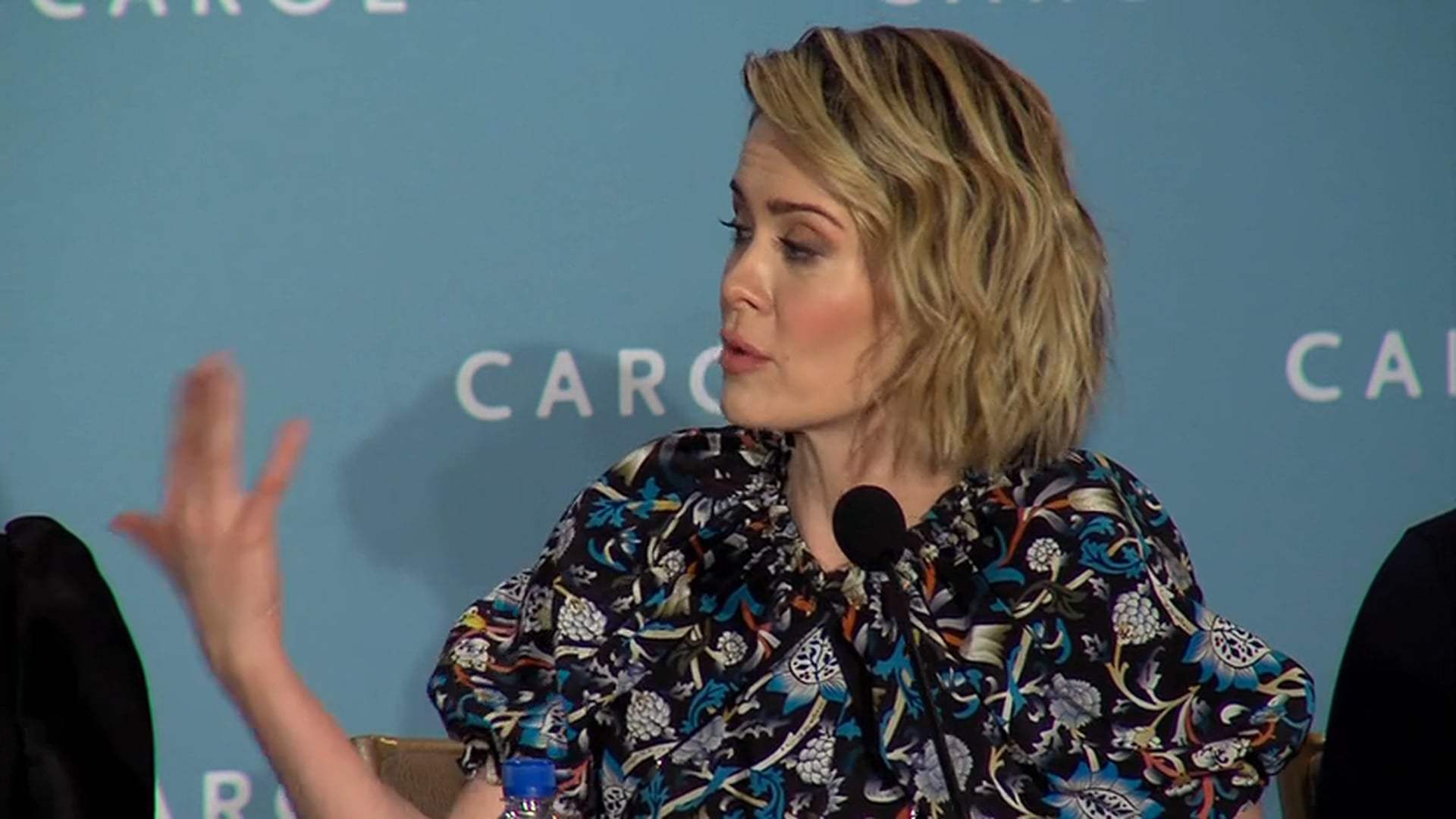 Carol NYC Press Conference II (2016)