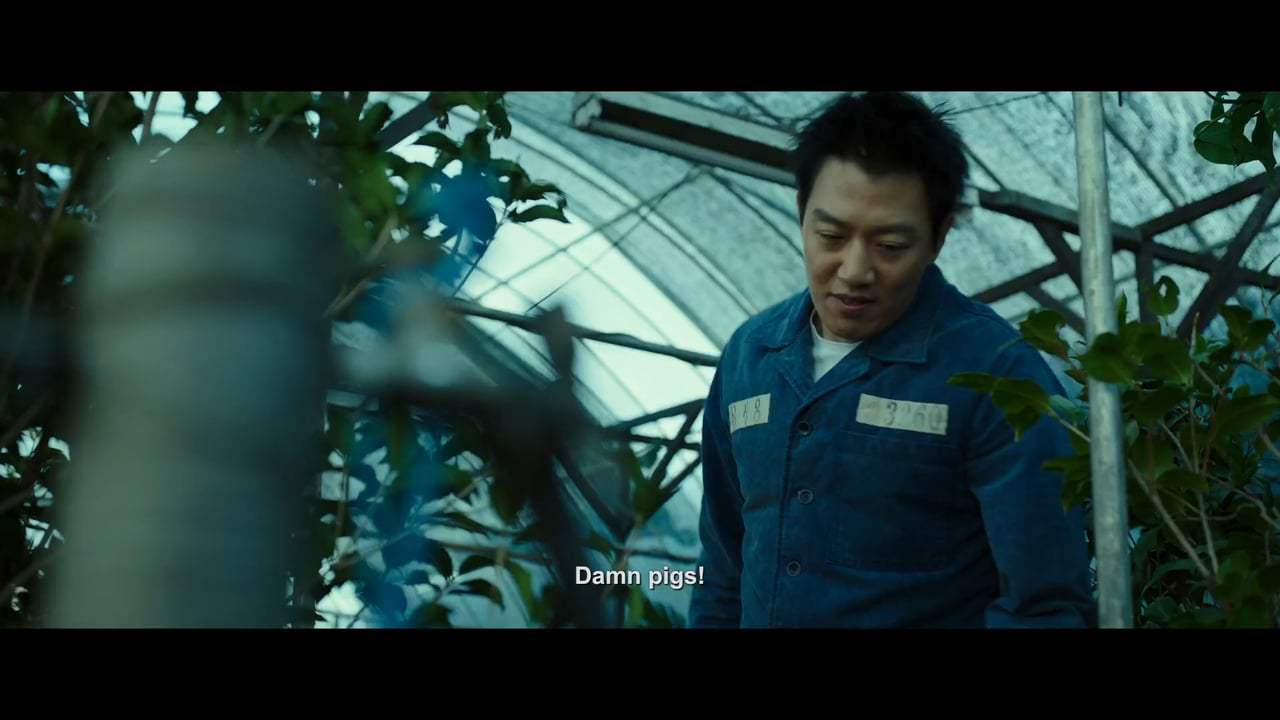 The Prison Trailer (2017)