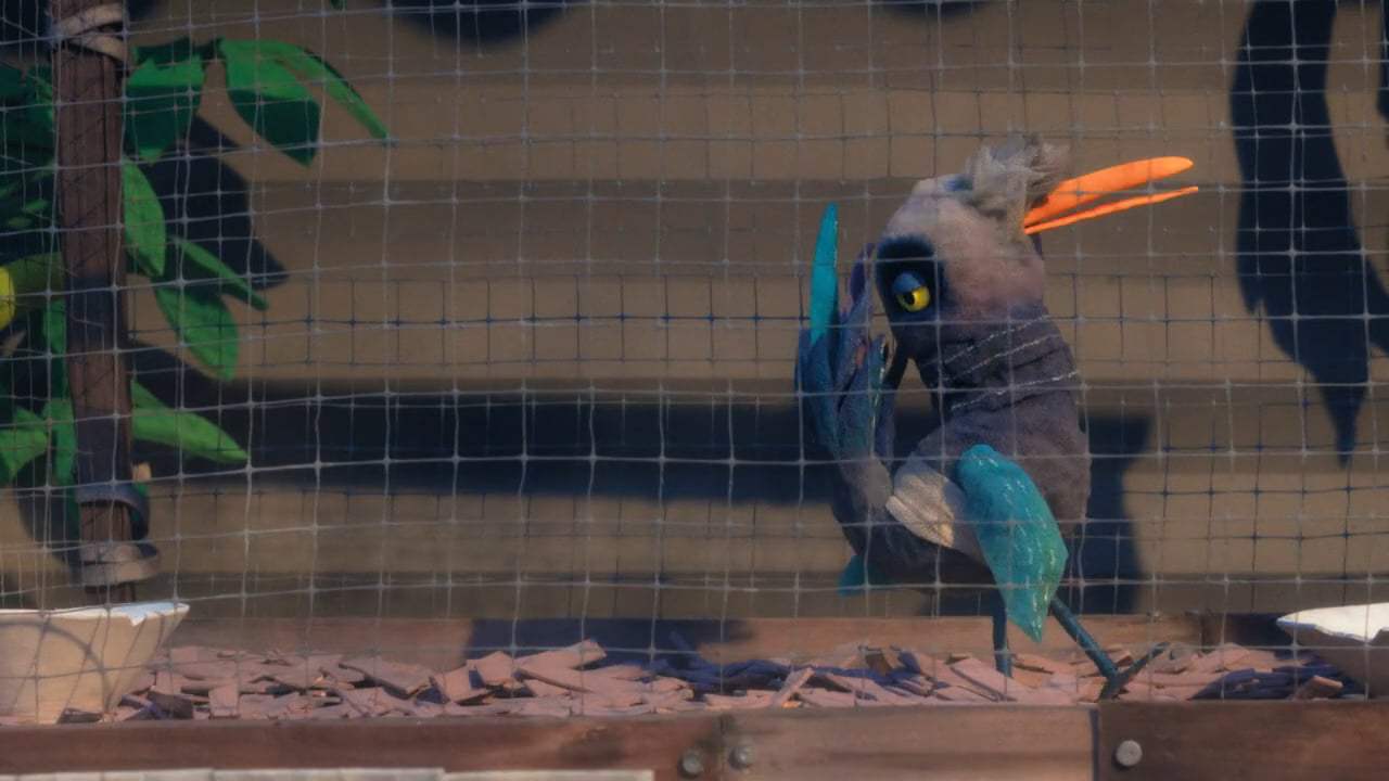 Birdlime Trailer (2017)