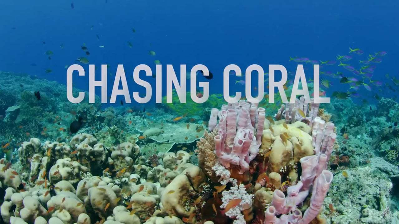 Chasing Coral Trailer (2017)