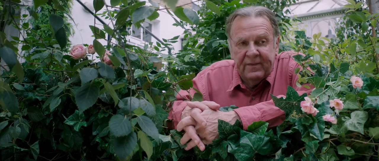 This Beautiful Fantastic (2017) - Tidy Up