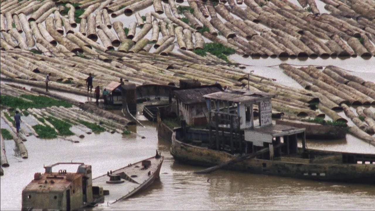 The Borneo Case Trailer (2016)