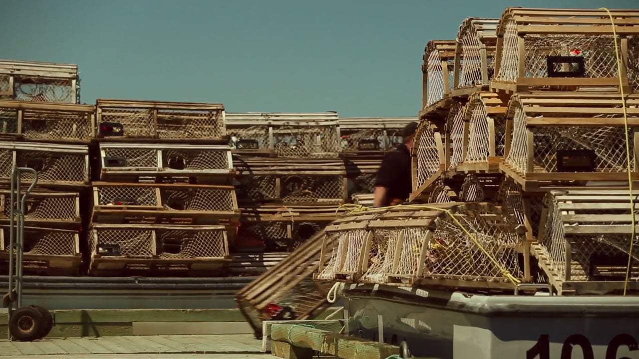 Mother Canada Trailer (2017)