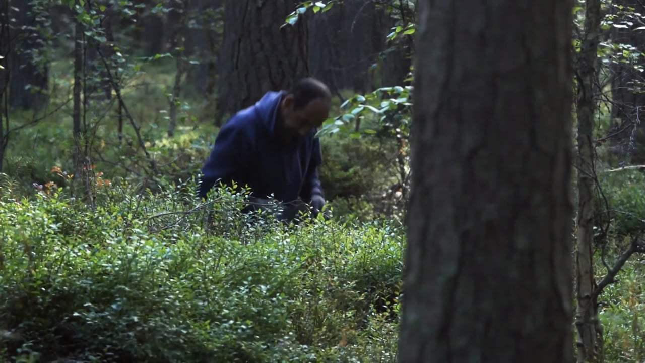 Blueberry Spirits Trailer (2017)