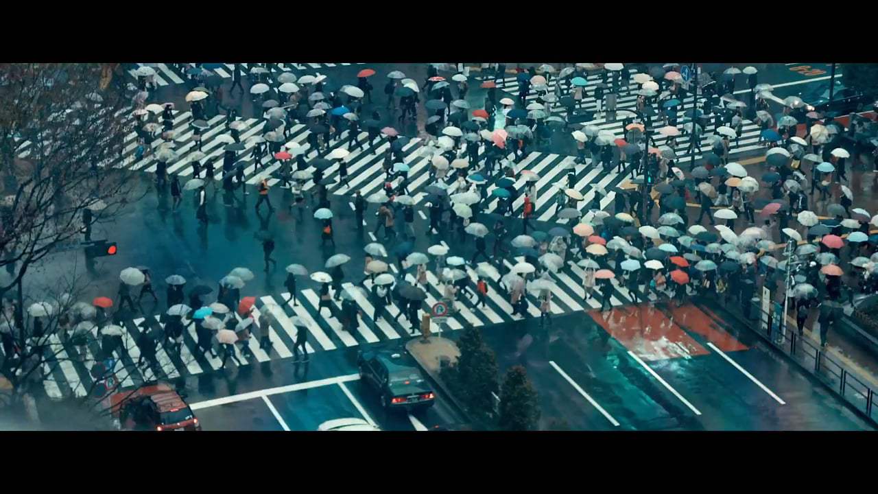 Delicate Balance Trailer (2016)
