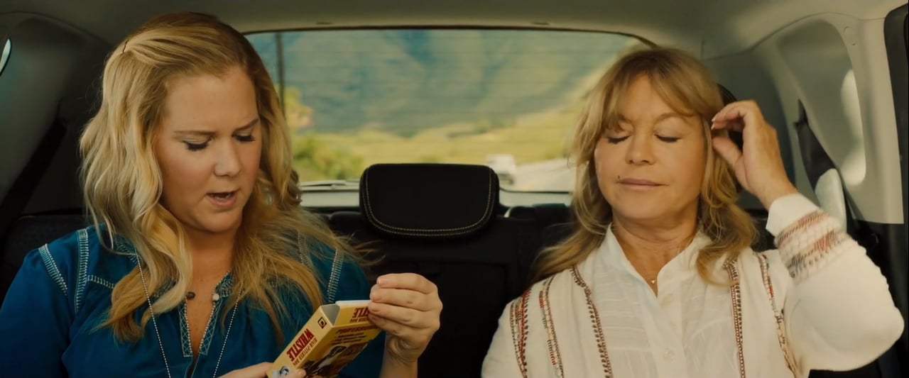 Snatched (2017) - It Works