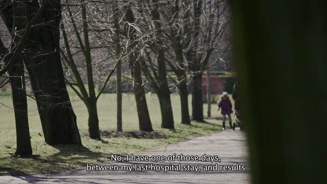 Right Side of Cello Trailer (2016)