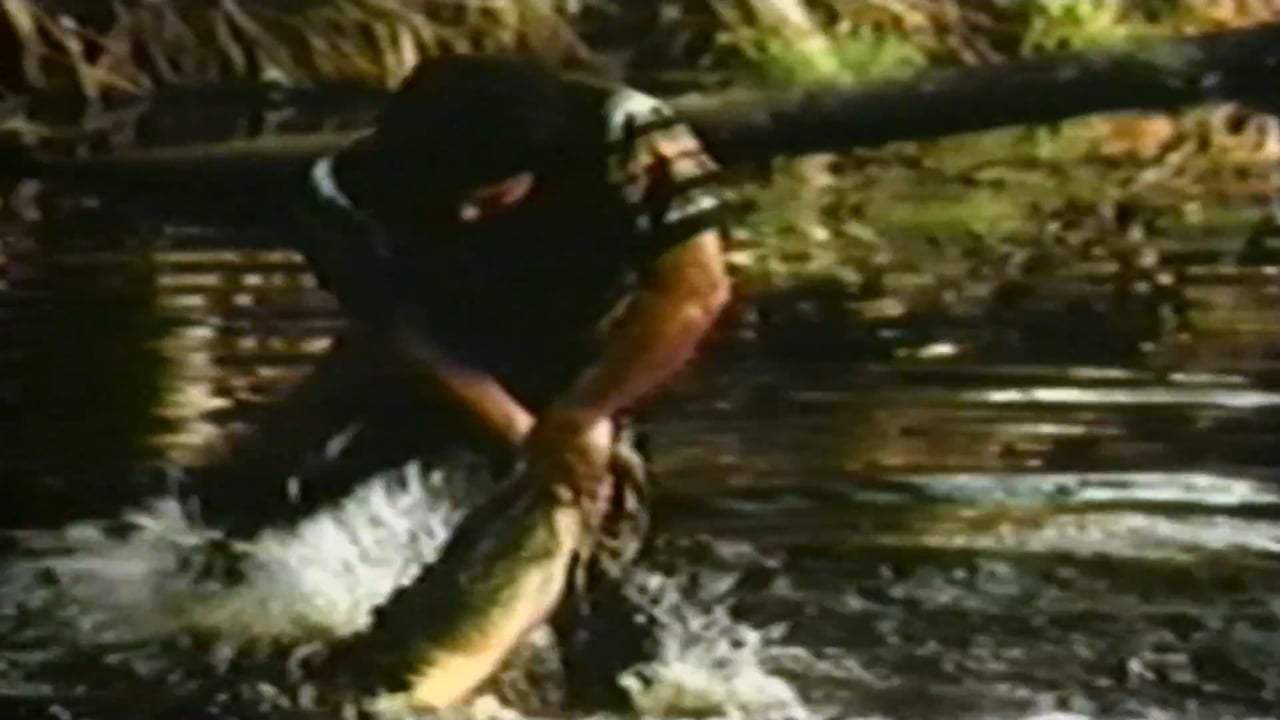 Wrestling Alligators Trailer (2016)