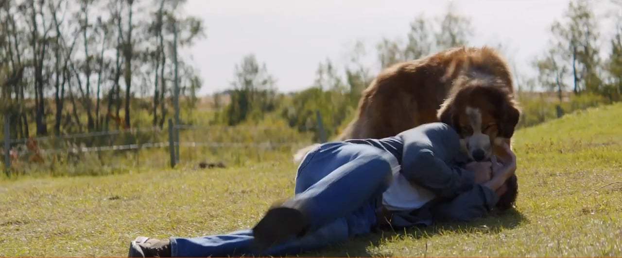 A Dog's Purpose TV Spot - Every Life (2017)