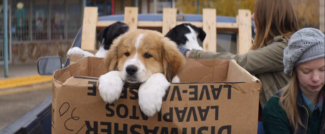 A Dog's Purpose TV Spot - Second Chances II (2017)