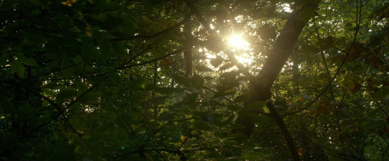The Survivalist Trailer (2016)