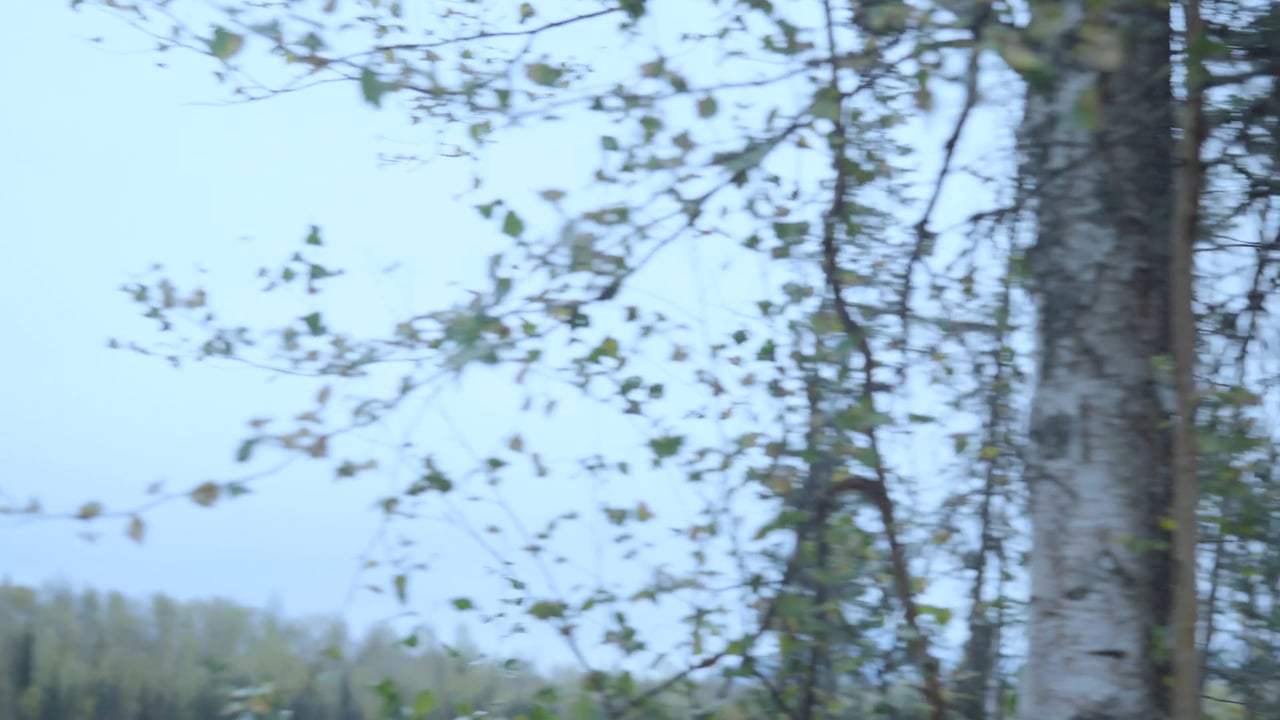 Peaks and Valleys Teaser Trailer (2017)