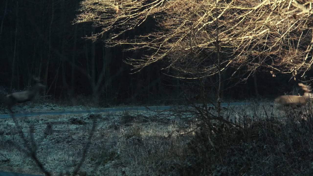 Spoor Trailer (2017)
