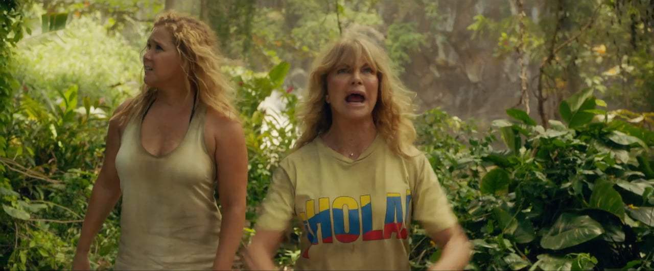 Snatched TV Spot - Blame Game (2017)