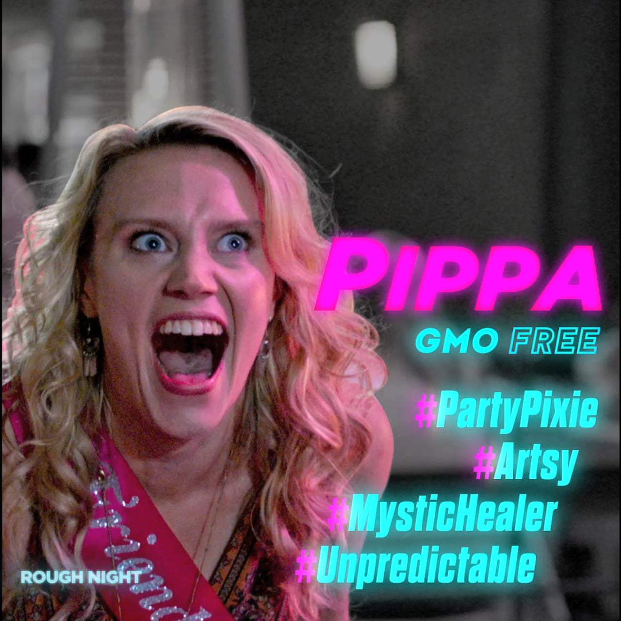 Rough Night Vignette - Meet Pippa (2017)