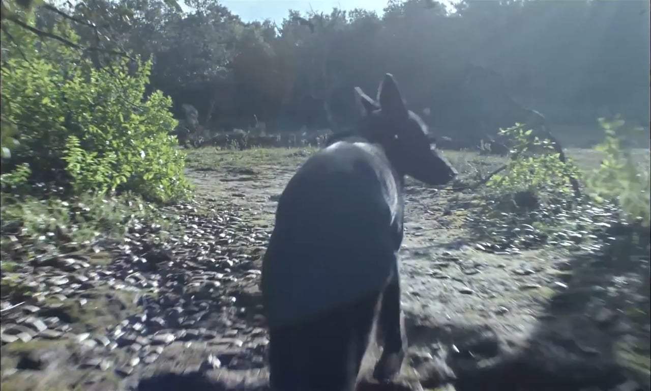 The Untamed Trailer (2017)