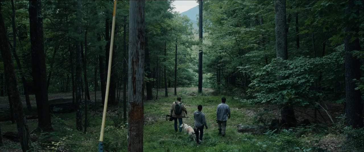 It Comes at Night TV Spot - Bad Dreams (2017)