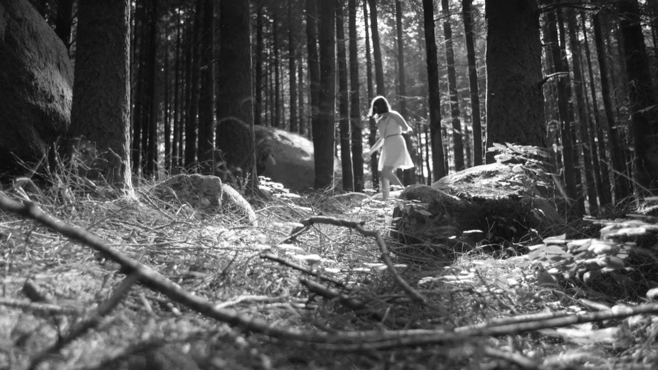The Forest of Lost Souls Trailer (2017)