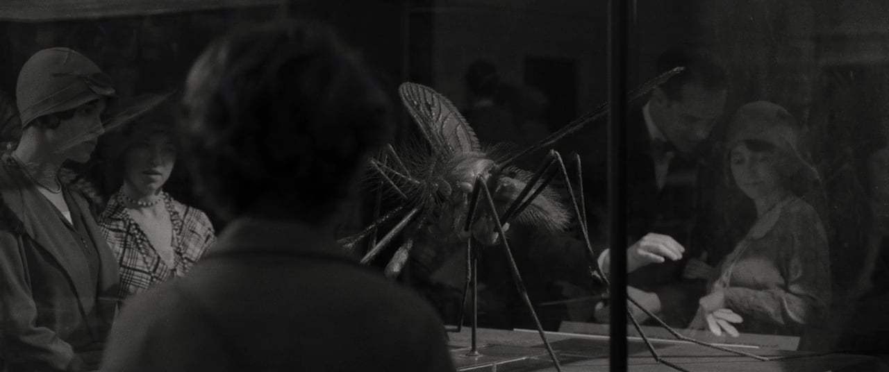 Wonderstruck (2017) - Museum Chase