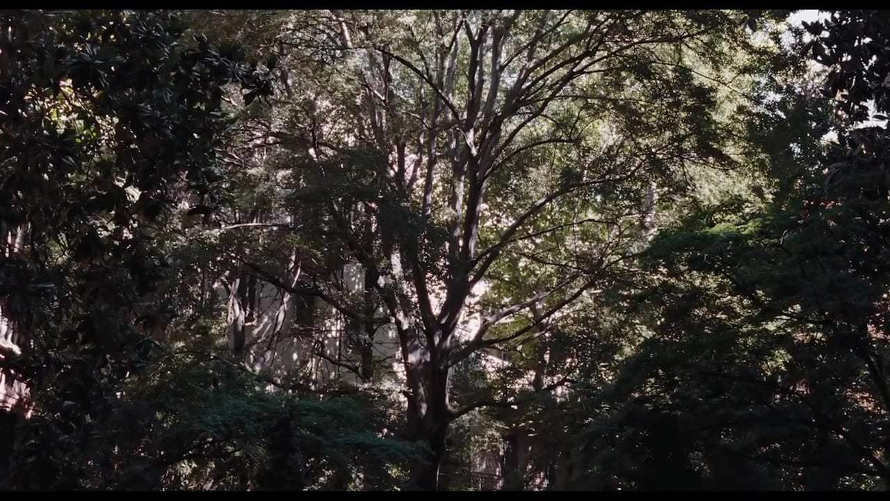 Antonia. Trailer (2016)