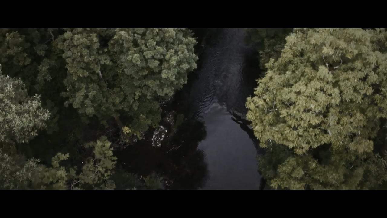Pilgrimage Trailer (2017)