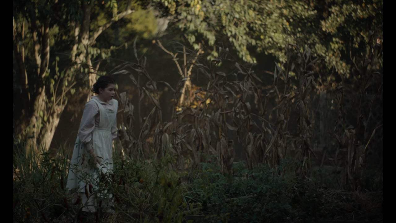 The Beguiled (2017) - Get Him Inside