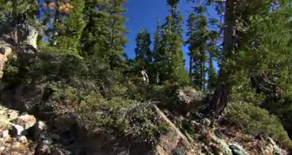 Pelt Trailer (2010)