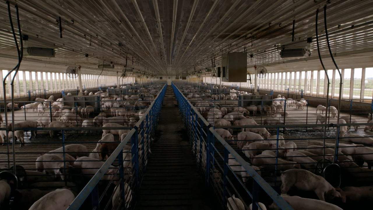 Sustainable Trailer (2016)