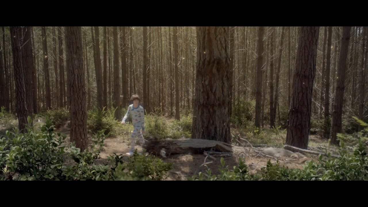 A Boy Called Po Trailer (2017)