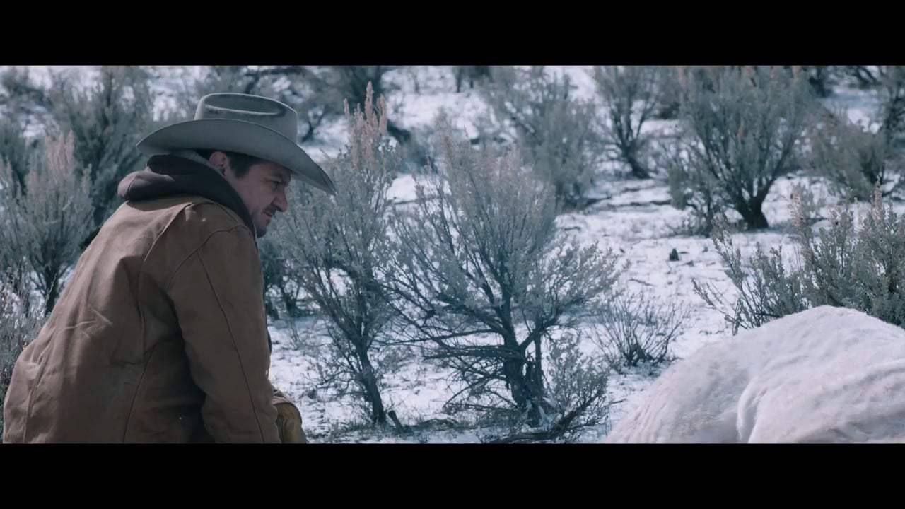 Wind River TV Spot - America (2017)