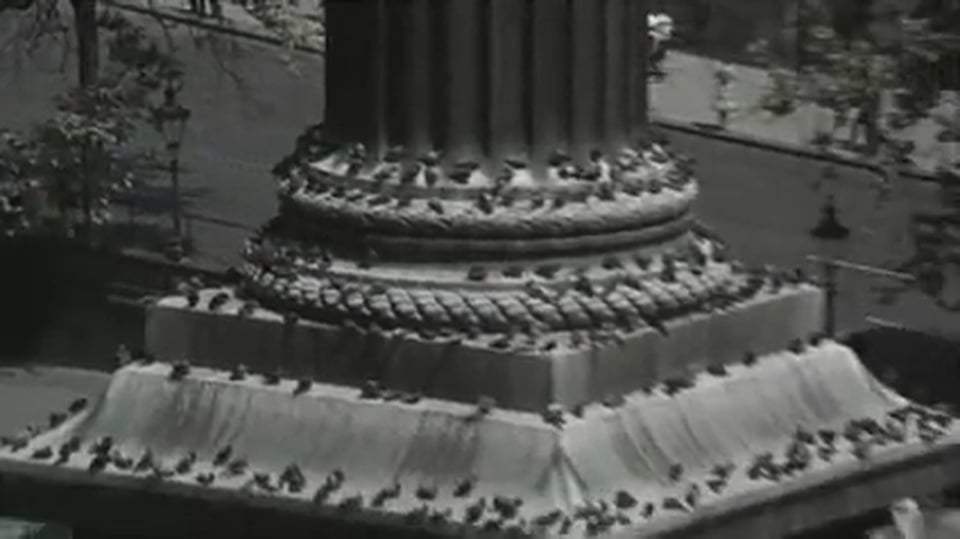 The Collector (1965) - Miranda