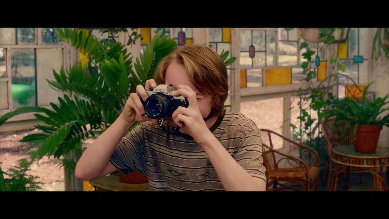 The Butterfly Tree Trailer (2017)