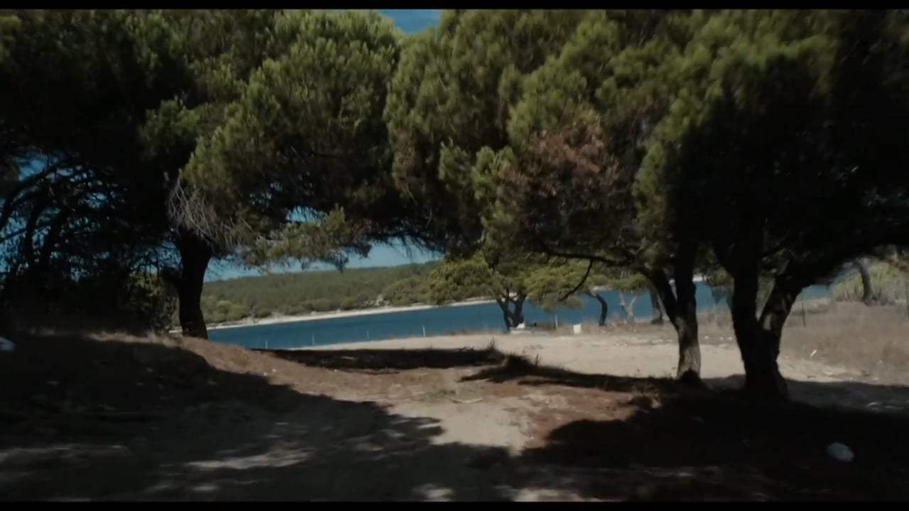 Colo Trailer (2017)