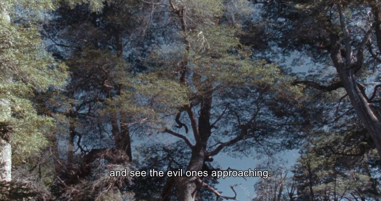 The Idea of a Lake Trailer (2017)