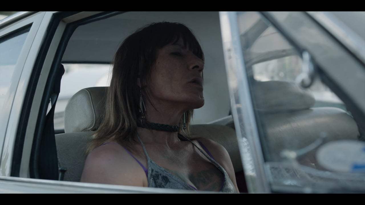 The World in Your Window Trailer (2017)